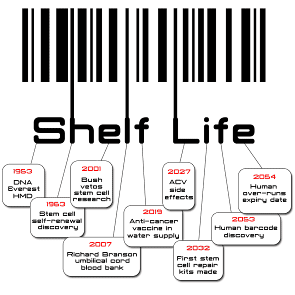 Shelf life by Helen Ducal