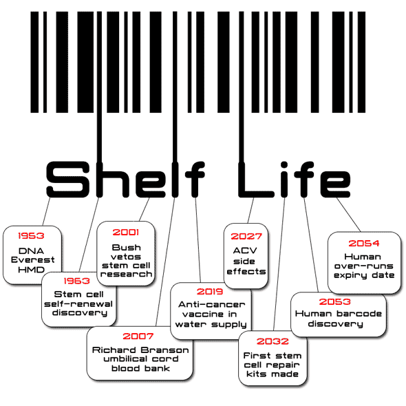 Shelf life the book, the screenplay, the film Helen