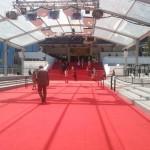 The red carpet