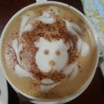 Cappuccino bear Sydney